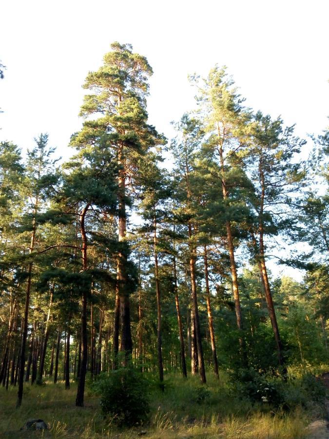 Guest House Kiev Forest المظهر الخارجي الصورة
